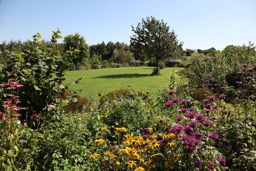 La Citadelle D'Hututu Bed and Breakfast Avesnes-sur-Helpe Exteriör bild